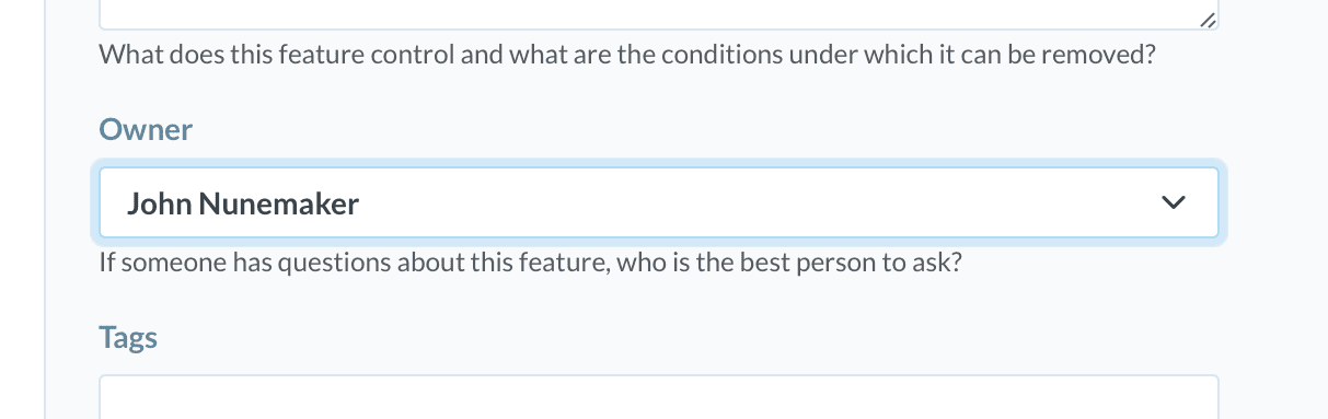 A screenshot of the new feature form with focus on the 'Owner' field which is a drop down list of project team member names.